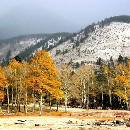 New Listing 2Br 2Ba Condo - Mountain Views Aspen Extérieur photo