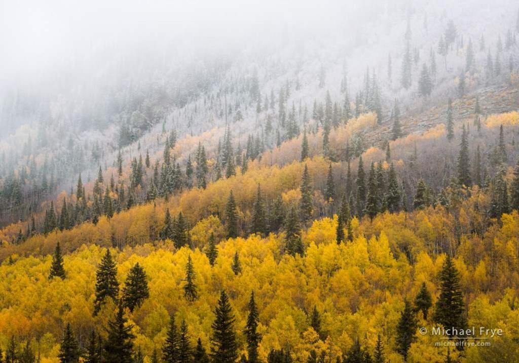 New Listing 2Br 2Ba Condo - Mountain Views Aspen Extérieur photo