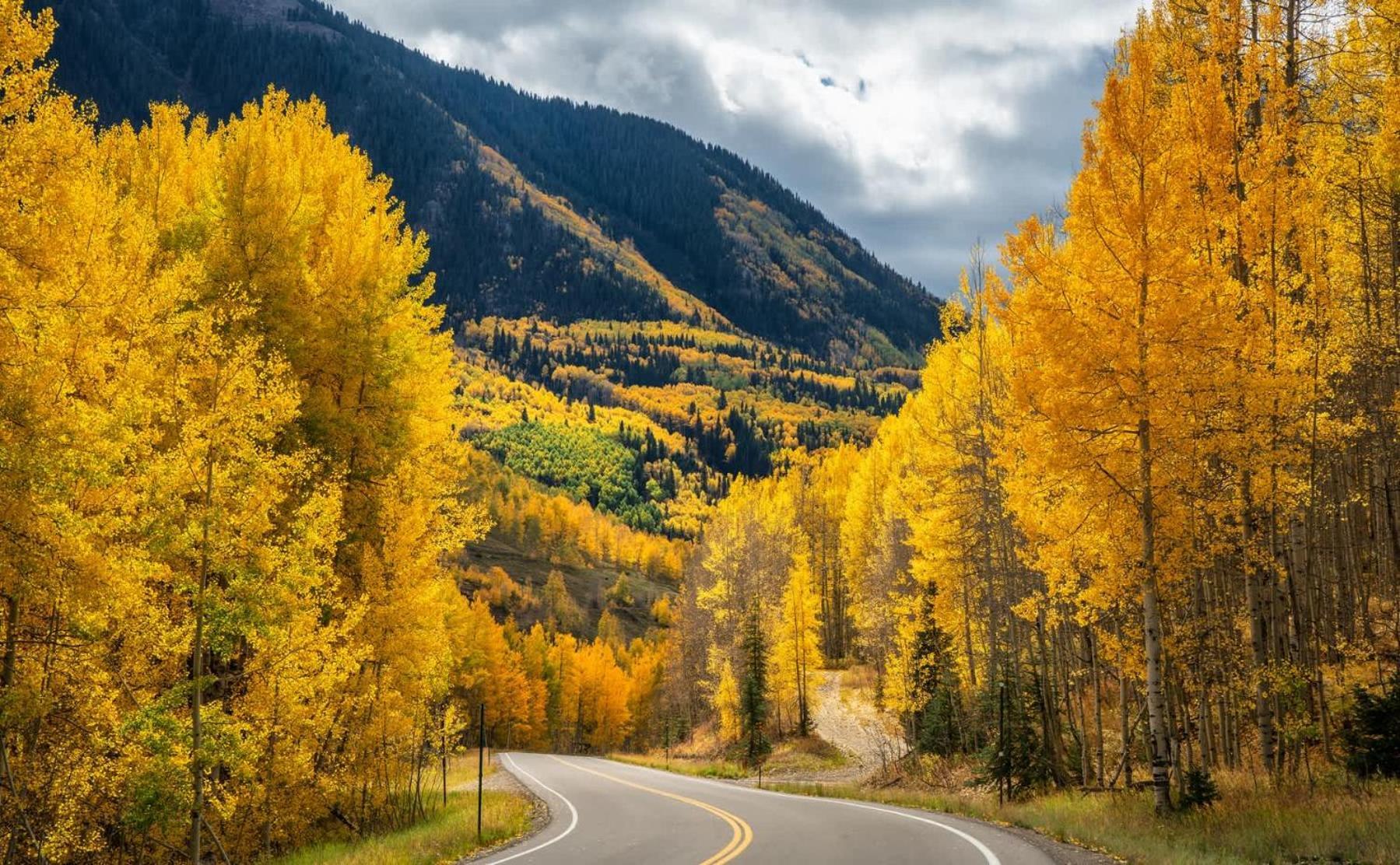 New Listing 2Br 2Ba Condo - Mountain Views Aspen Extérieur photo