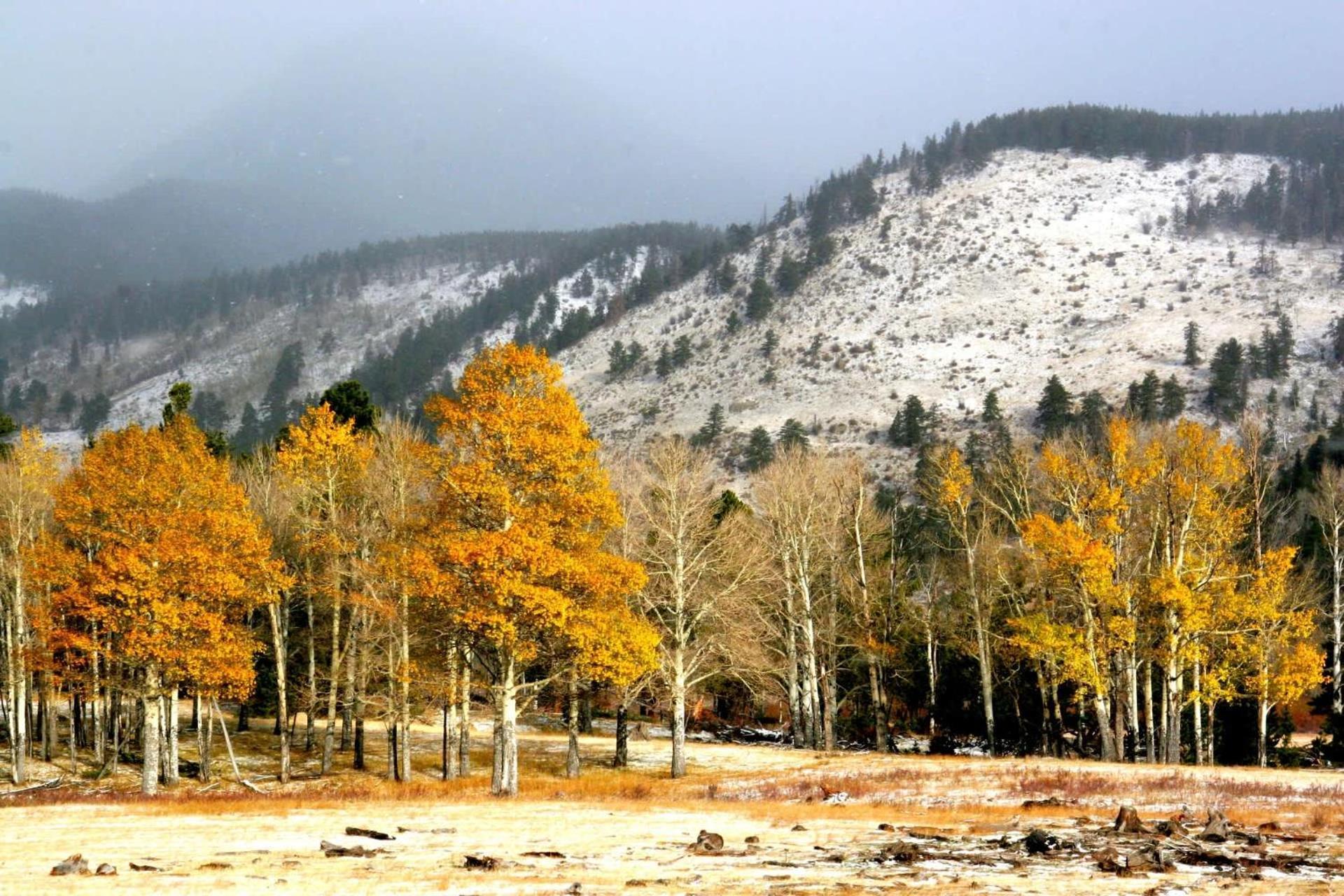 New Listing 2Br 2Ba Condo - Mountain Views Aspen Extérieur photo